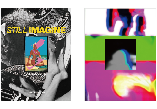 STILL IMAGINEのアートブック